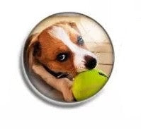 Load image into Gallery viewer, Snap- Dog Mix / Mixed styles $3 each
