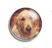 Load image into Gallery viewer, Snap- Dog Mix / Mixed styles $3 each
